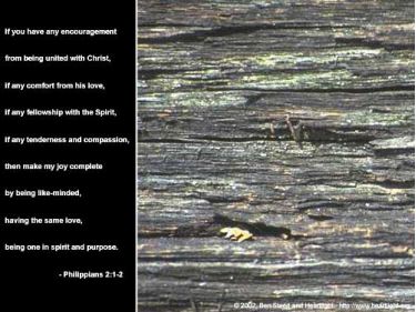 Illustration of the Bible Verse Philippians 2:1-2