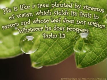 Illustration of the Bible Verse Psalm 1:3