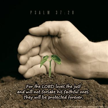 Illustration of the Bible Verse Psalm 37:28