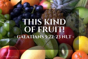 Illustration of the Bible Verse Galatians 5:22-23 NLT