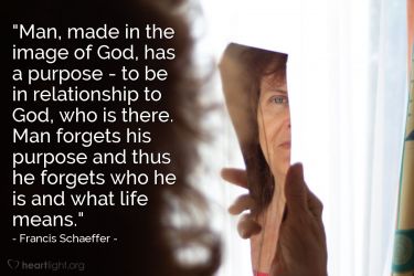 Illustration of the Bible Verse Quote by Francis Schaeffer