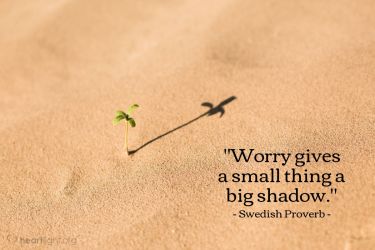 Illustration of the Bible Verse Quote by Swedish Proverb