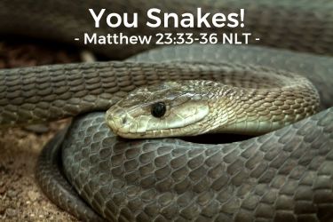 Illustration of the Bible Verse Matthew 23:33-36 NLT