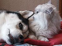 Expanding Your Circle of Friends