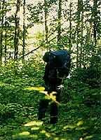 Make Their Journey Easier