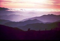 Standing in the Presence of God