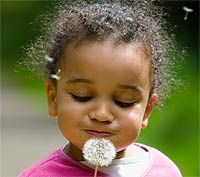 Planting Seeds for the Future