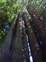 Come Away to a Quiet Place?