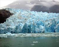 The Jesus Vibe: The Shear