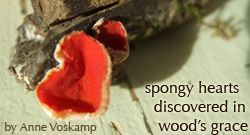 Uprighting the Earth