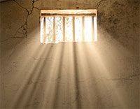 Damocles, Spock, and Paul