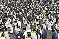 NOT Just Another Face in the Crowd