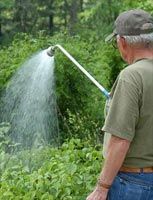 In the Cool of the Day