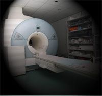 Having a Human Experience