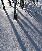 Don't Trust a Shadow