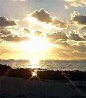 Go to My Brothers and Tell Them