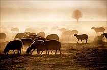 A Really Inconvenient Truth