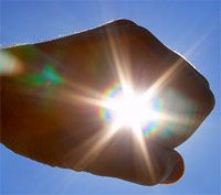 What's Your Purpose?