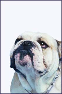 Absence Makes the Heart Grow ... ?