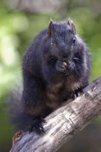 Feast or Fear? Pushing Past Our Fear with Faith and Perseverance