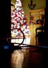 Last Lights on the Tree