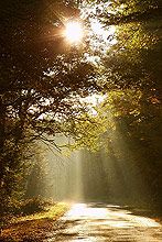 SH!FT my Life: LIVE_holy