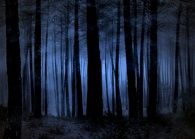 Anything Goes - Except Faith