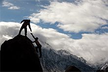 What Kind of Church?