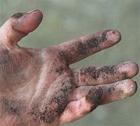 Jesus' Hand Will Touch You Too