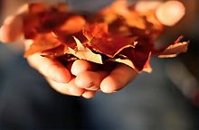 How to Put One Foot in Front of the Other