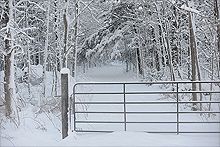 What Jesus Said Is a Life-Changer: The Sozo Habit