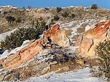 The Discipline of the Wilderness