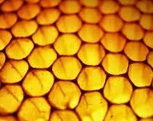 The Thing about Sorrow