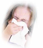 Whose Advice Do You Seek?