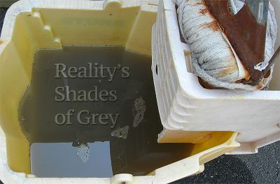 A Grey Sponge or a Pure Heart