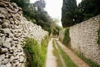 Do You Believe in Jesus?