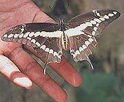 The Hardest Grace of All