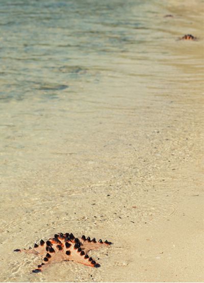 Made a Difference to That One!