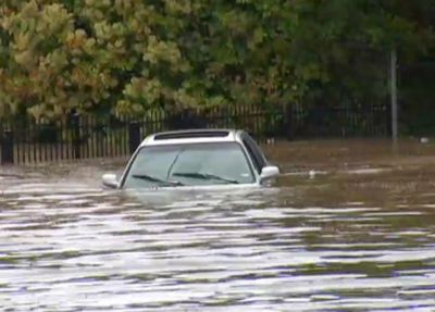 Our Healing Strength