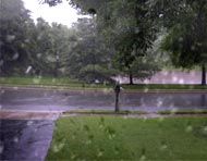 God Loves a Slow Cooker