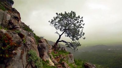 Wonderfully Unsettling Grace