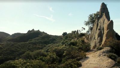 Rebellious Confusion