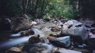 Life to Our Mortal Bodies!