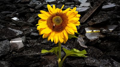 How Can I Start Over with My Life?