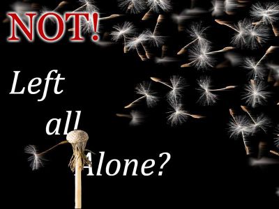 I Will Not Abandon You, Ever!