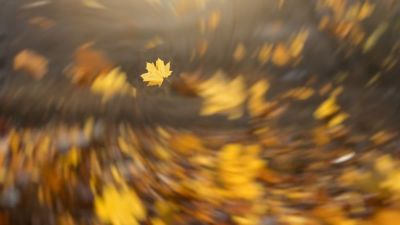 Escaping the Monotony of Low Expectations