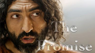 Seed, Towel, Promise, & Torchlight: The Promise