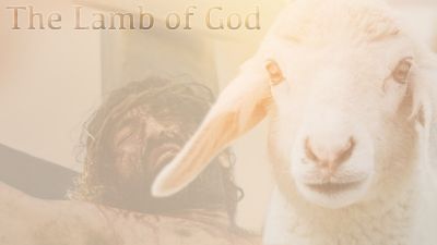 Precious and Priceless