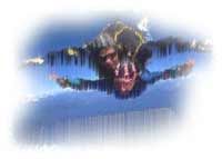 I Jumped Out of a Perfectly Good Plane