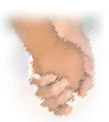 A Story of Friendship